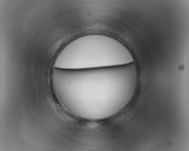 X0000111620547200907171107