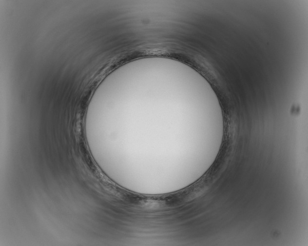 X0000111620549200907171107
