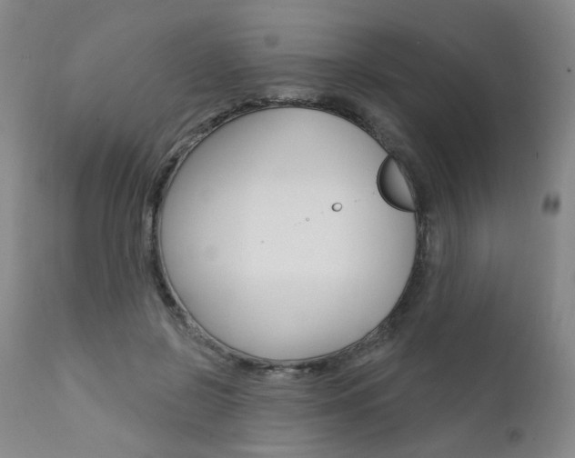 X0000111620550200907171107
