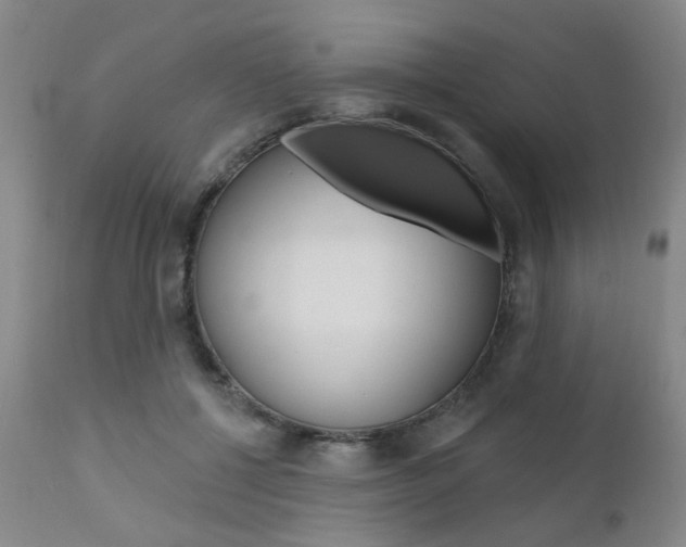 X0000111620552200907171107
