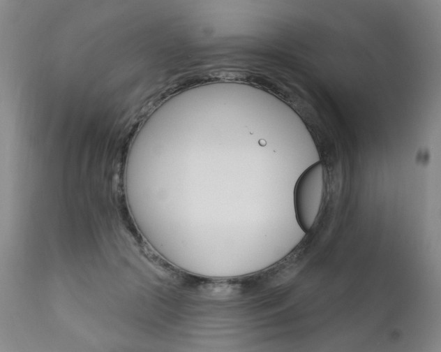 X0000111620553200907171107