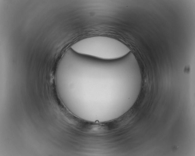 X0000111620555200907171107