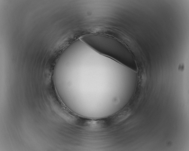 X0000111620558200907171107