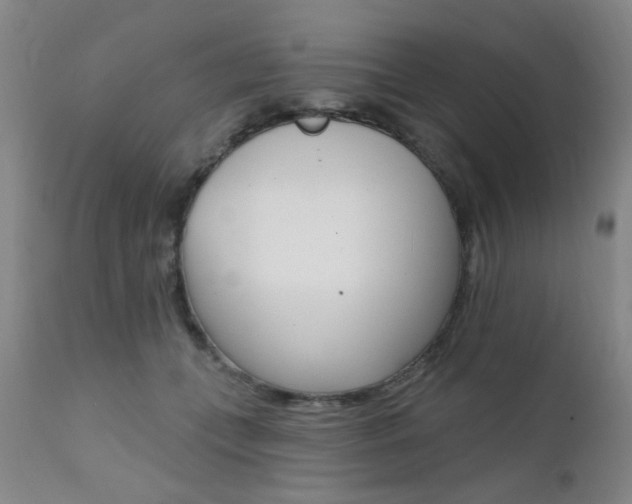 X0000111620559200907171107