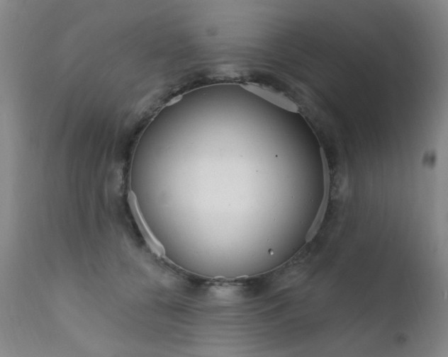 X0000111620560200907171107