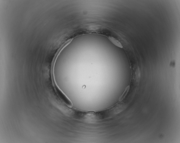 X0000111620562200907171107