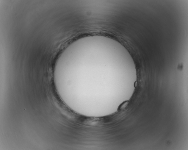 X0000111620563200907171107