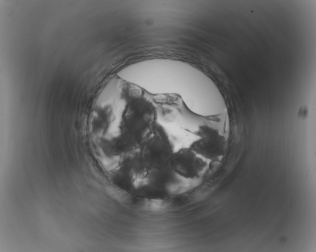 X0000111620565200907171107