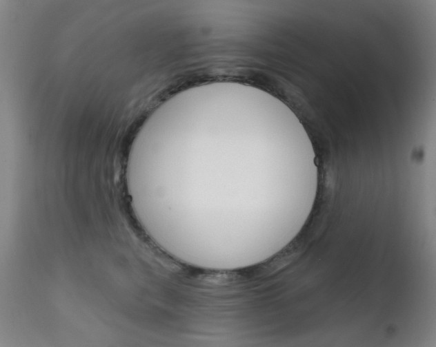 X0000111620567200907171107