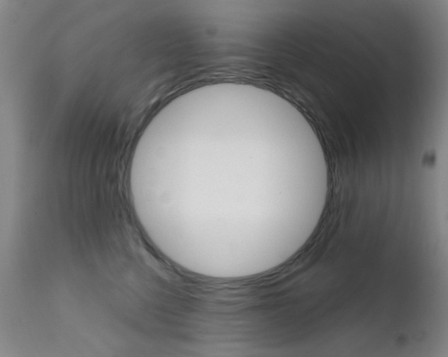 X0000111620568200907171107