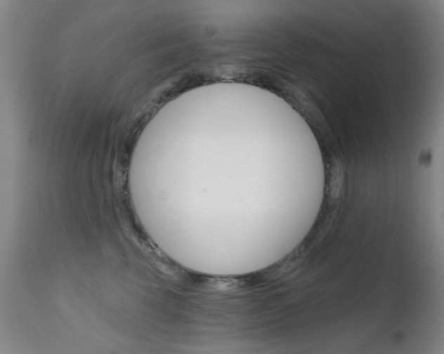 X0000111620569200907171107