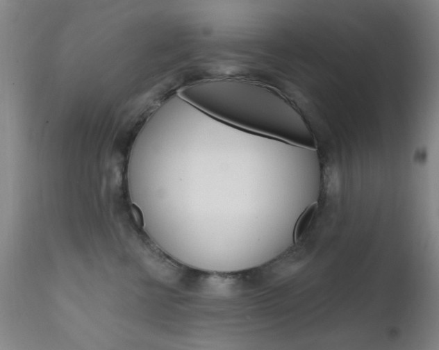 X0000111620570200907171107