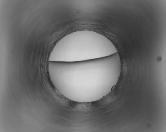 X0000111620571200907171107
