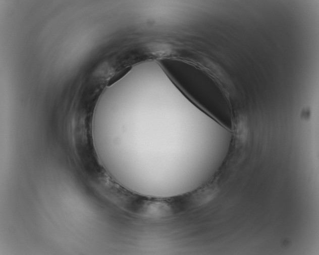X0000111620572200907171107