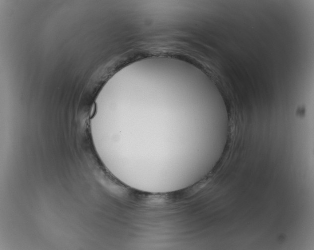 X0000111620574200907171107