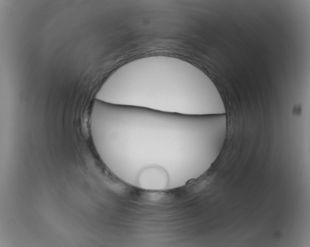 X0000111620575200907171107