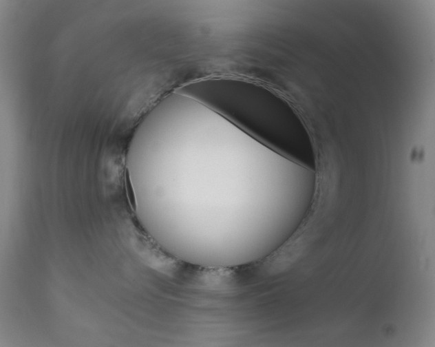 X0000111620576200907171107