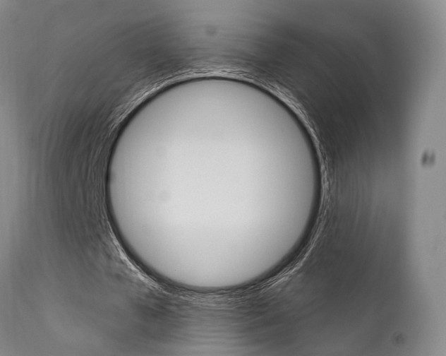 X0000111620577200907171107
