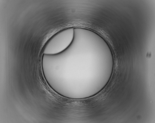 X0000111620578200907171107