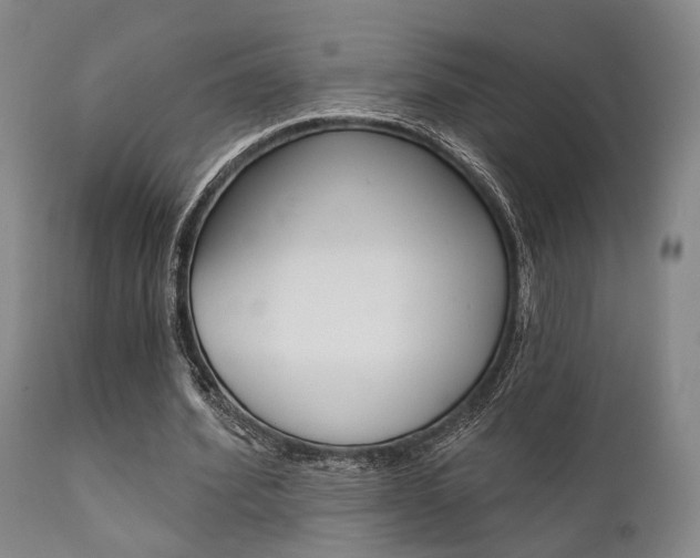X0000111620580200907171107