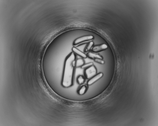 X0000111620581200907171107