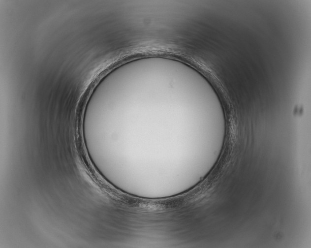 X0000111620582200907171107
