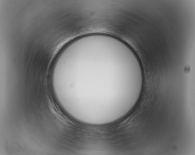 X0000111620583200907171107