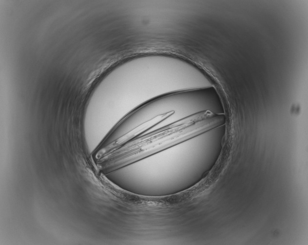 X0000111620585200907171107
