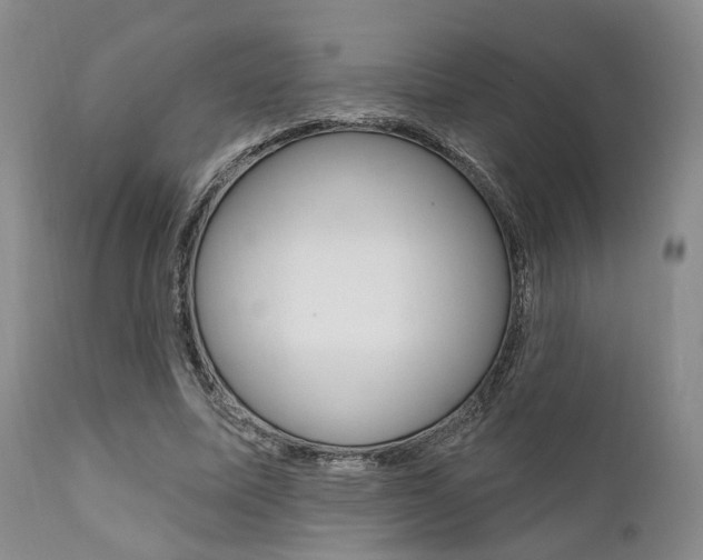 X0000111620587200907171106