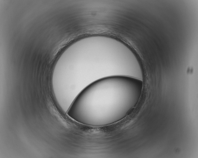 X0000111620589200907171106