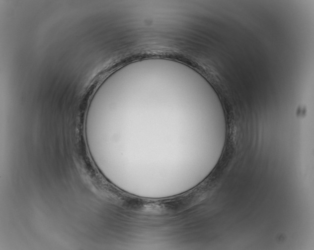 X0000111620591200907171106