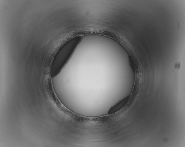 X0000111620593200907171106