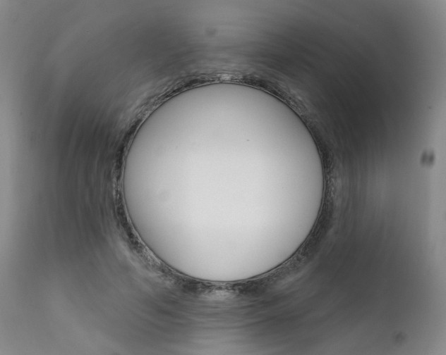 X0000111620594200907171106