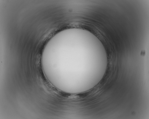 X0000111620603200907171106