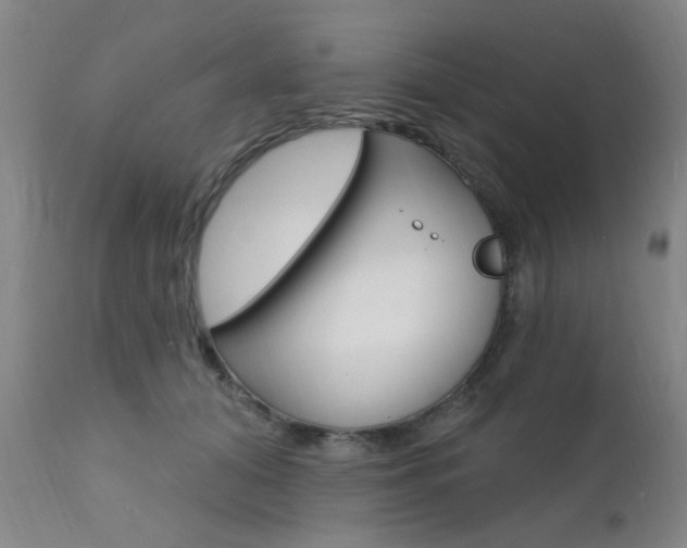 X0000111620608200907171106