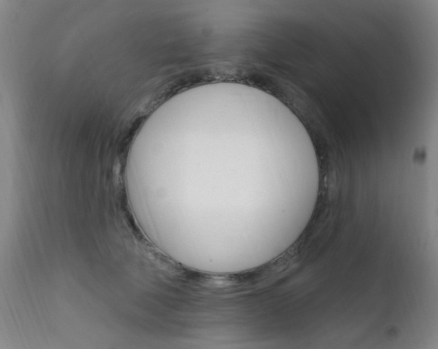 X0000111620610200907171106