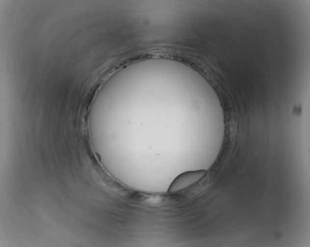 X0000111620611200907171106