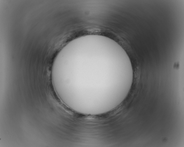 X0000111620614200907171106