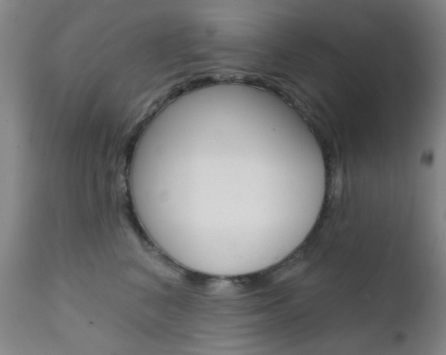 X0000111620616200907171106