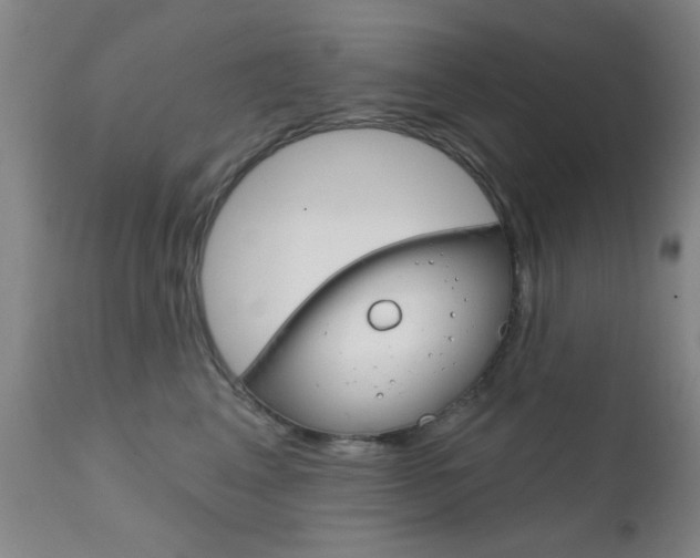 X0000111620617200907171106