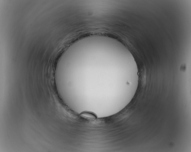 X0000111620619200907171106