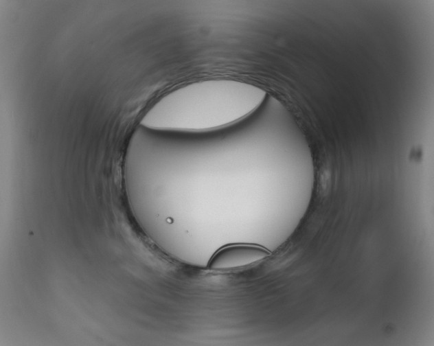 X0000111620620200907171106