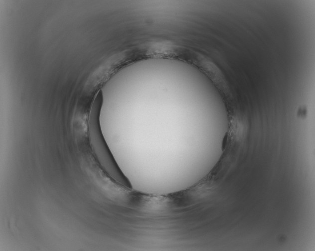 X0000111620621200907171106