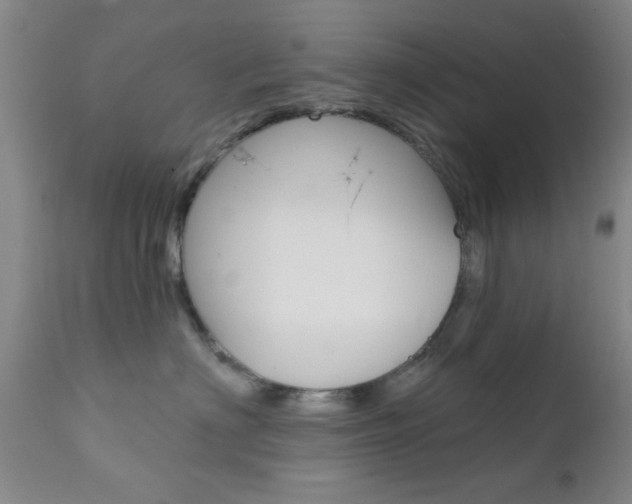 X0000111620622200907171106