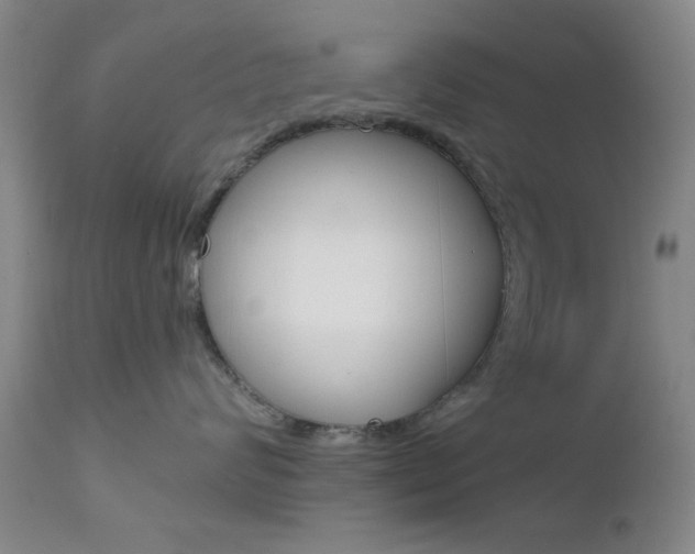 X0000111620624200907171106