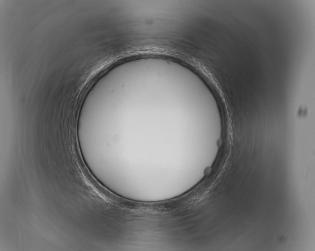 X0000111620625200907171105