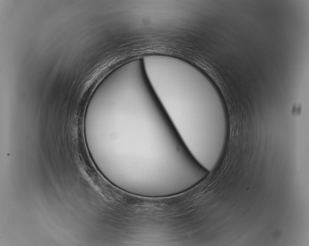 X0000111620626200907171105