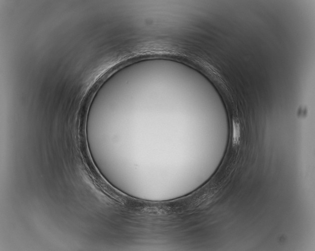 X0000111620627200907171105