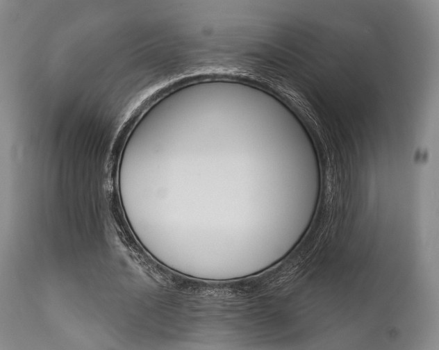 X0000111620628200907171105