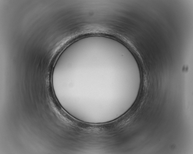 X0000111620629200907171105